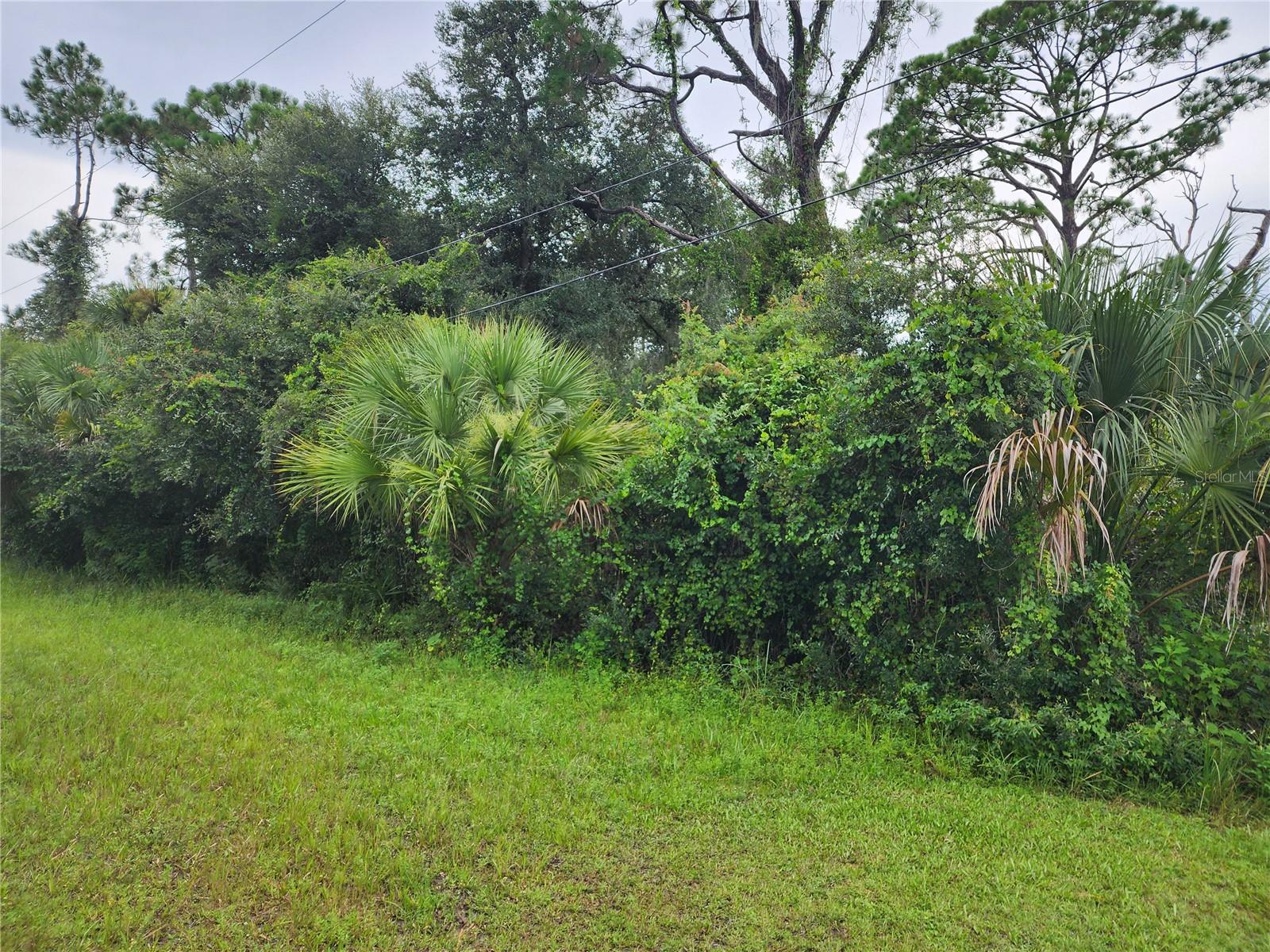 HORNBUCKLE BLVD — photo 4