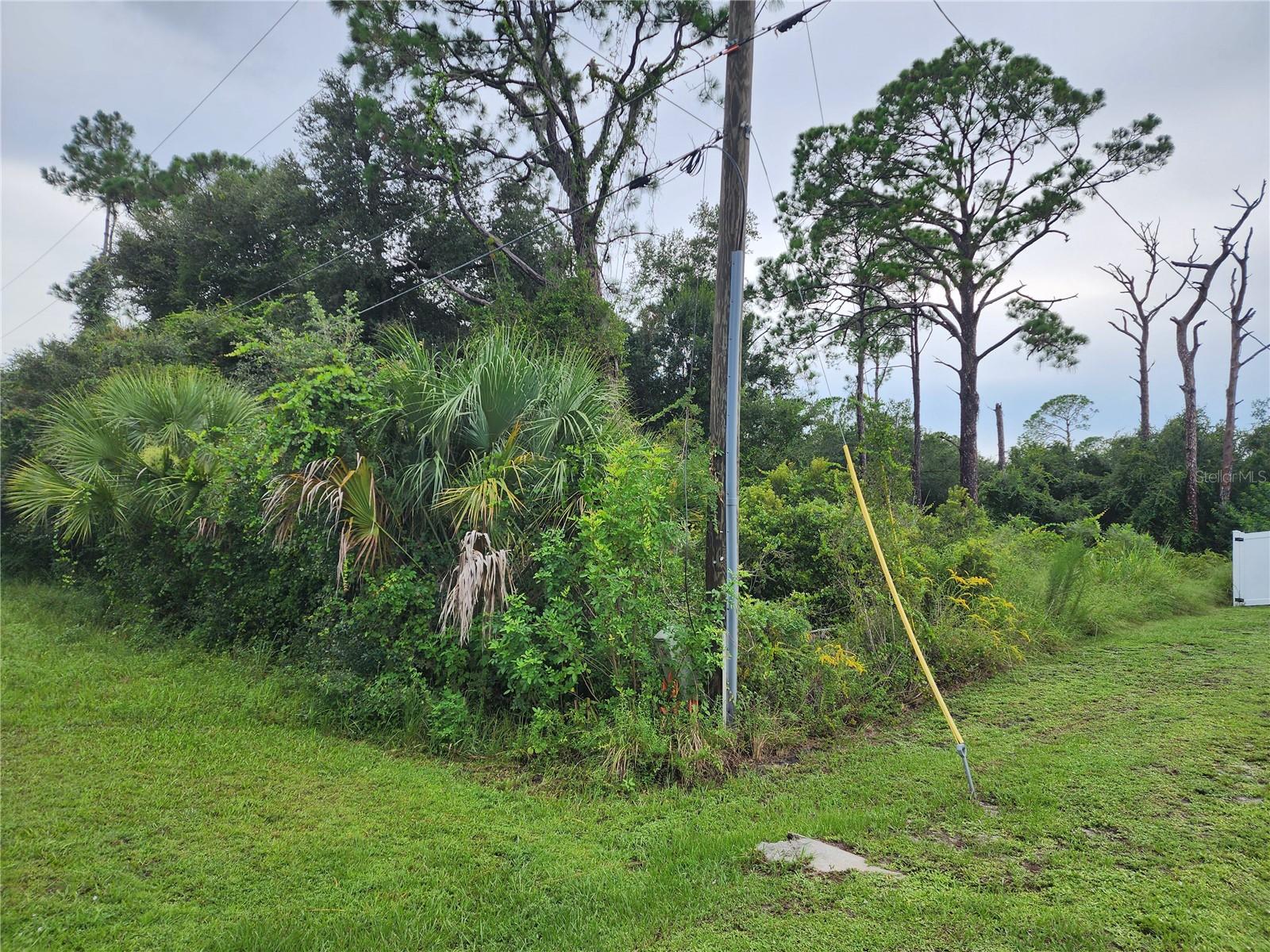 HORNBUCKLE BLVD — photo 2