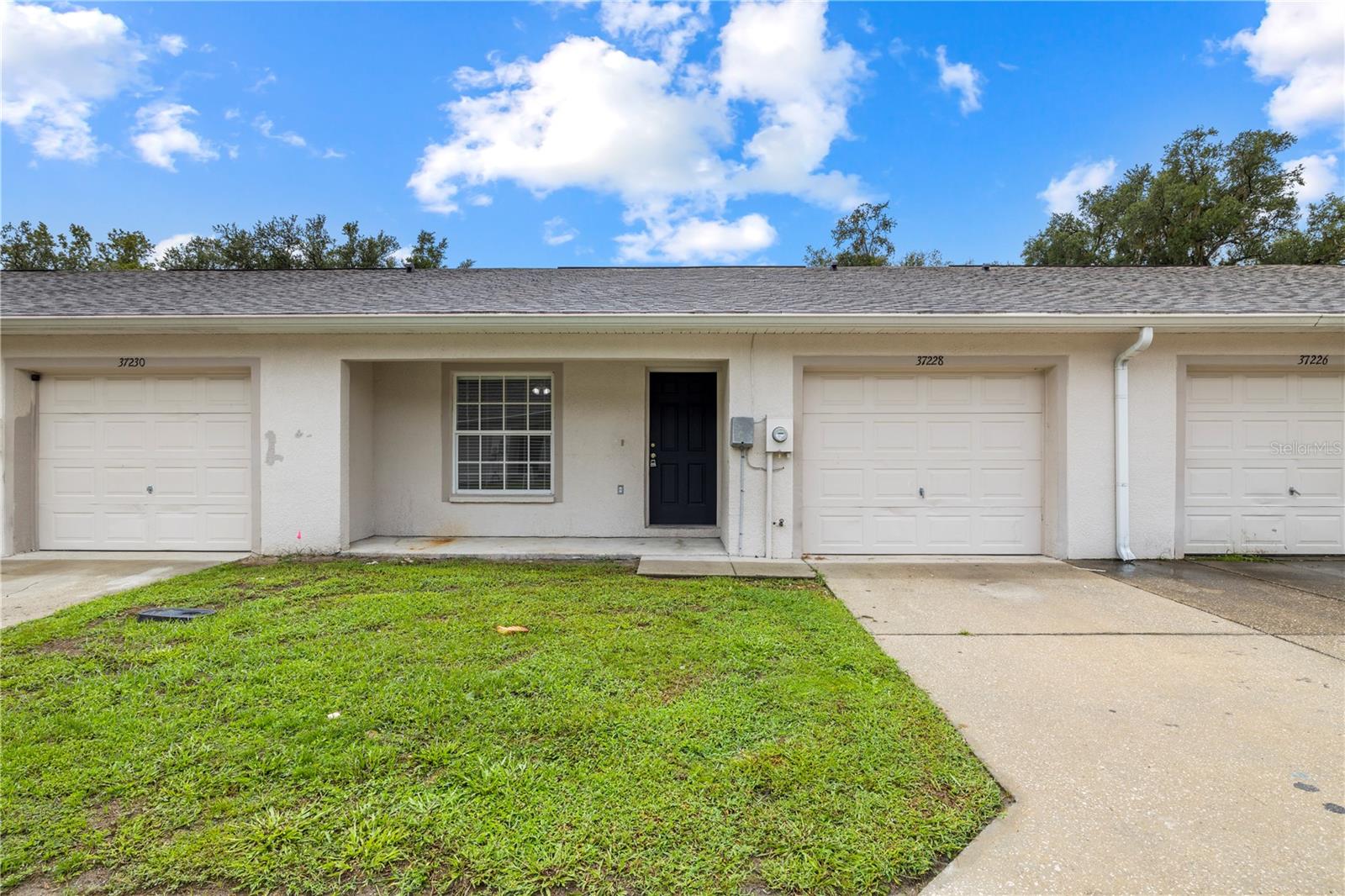 37228 GRASSY HILL LN — photo 3