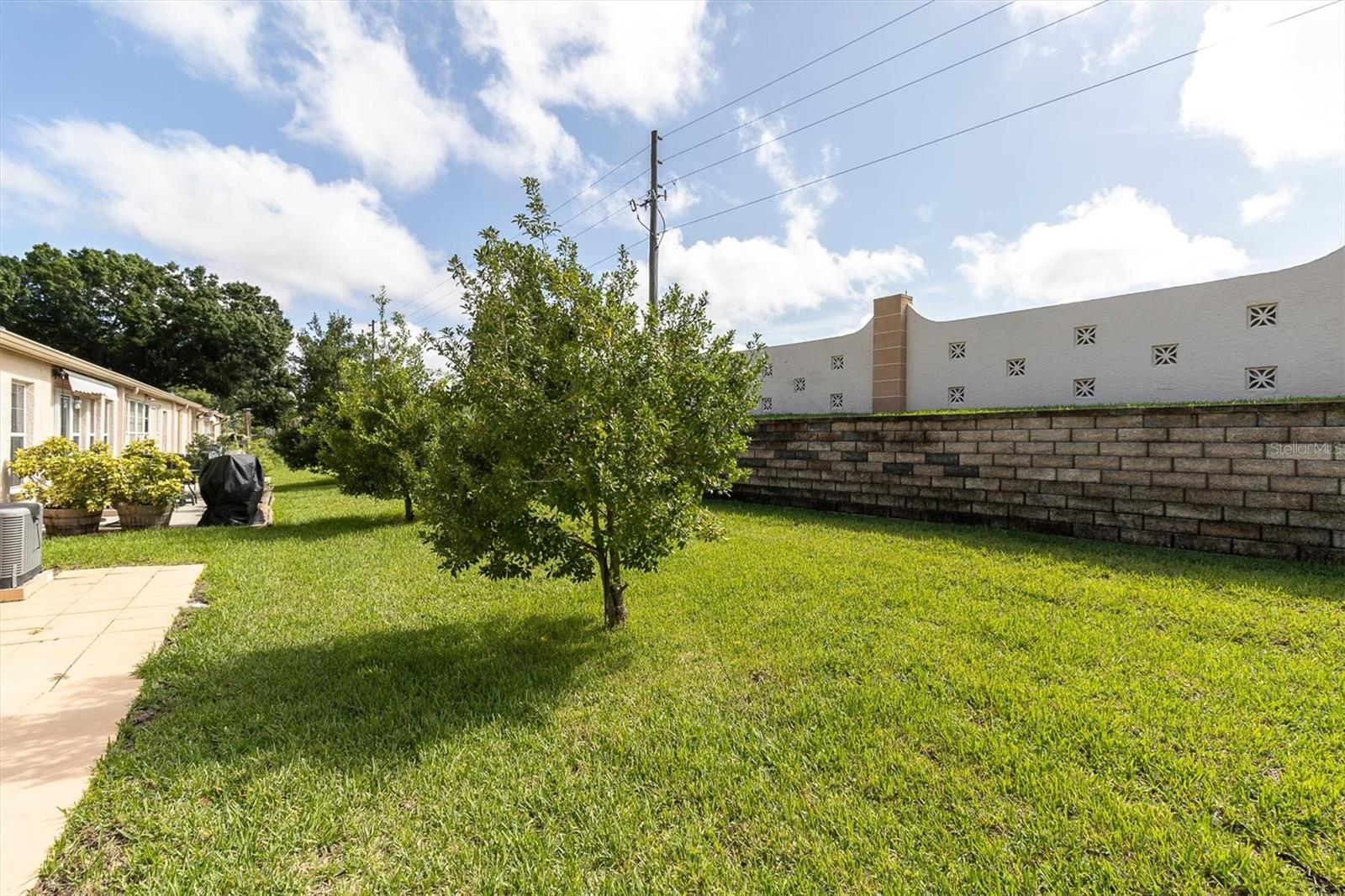 11436 VERSAILLES LN — photo 26