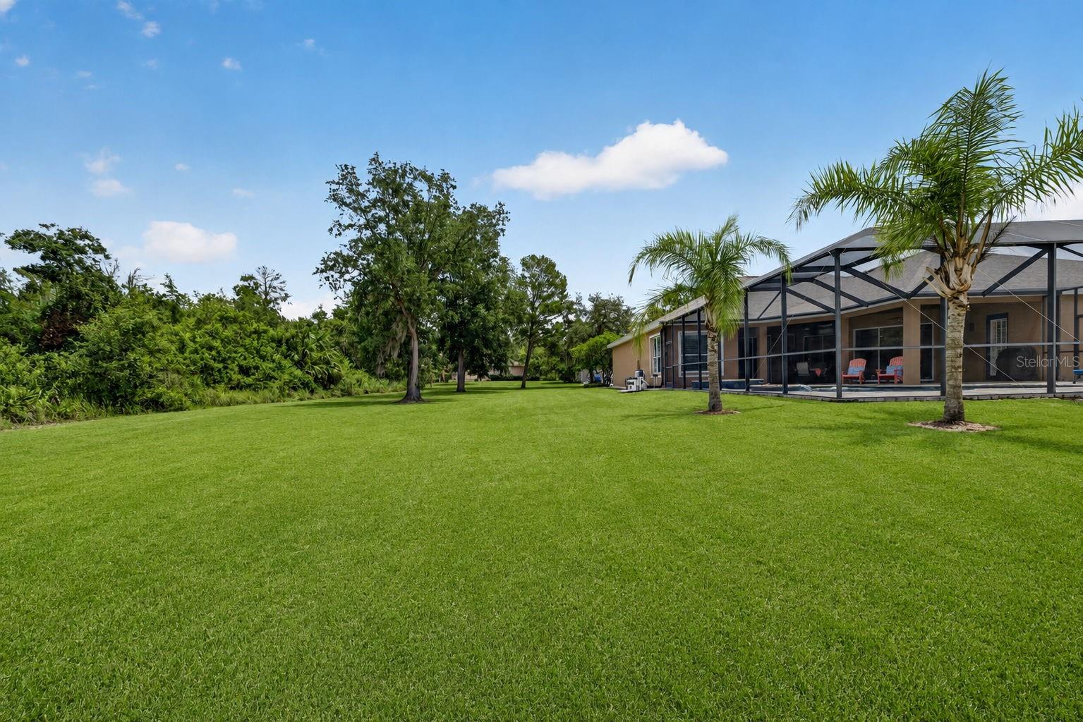 2813 HAMPTON PLACE CT — photo 68