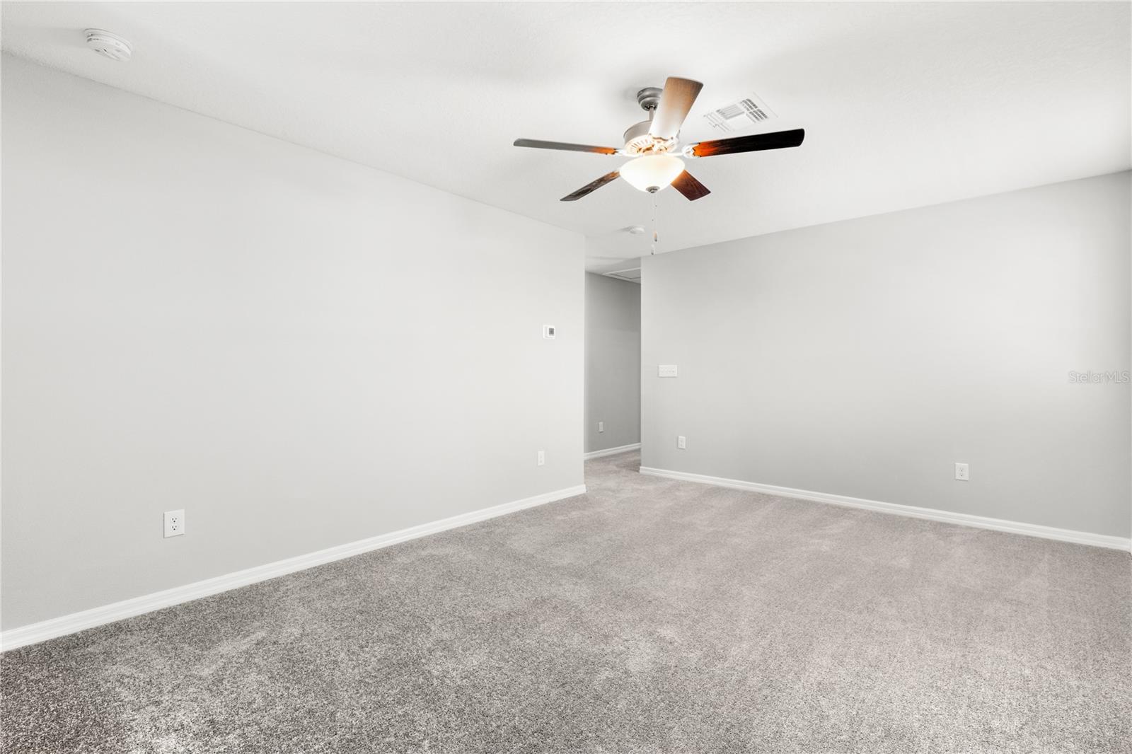 10217 SUMMER KISS AVE — photo 16