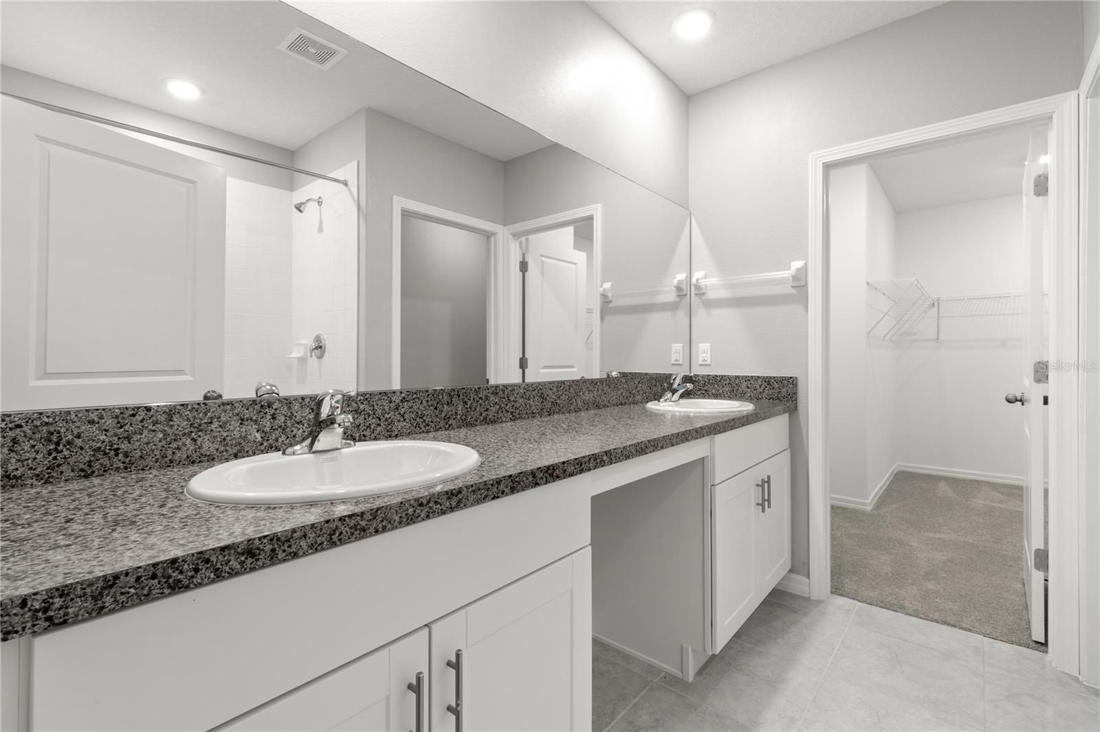 10217 SUMMER KISS AVE — photo 13