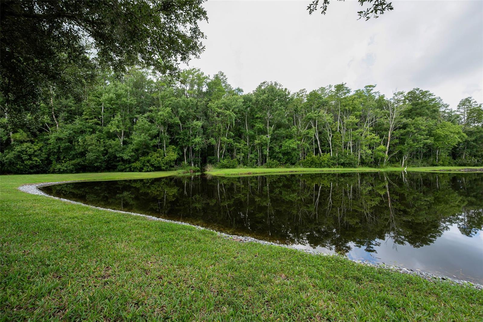 1553 ARLINGTON OAKS CT — photo 41