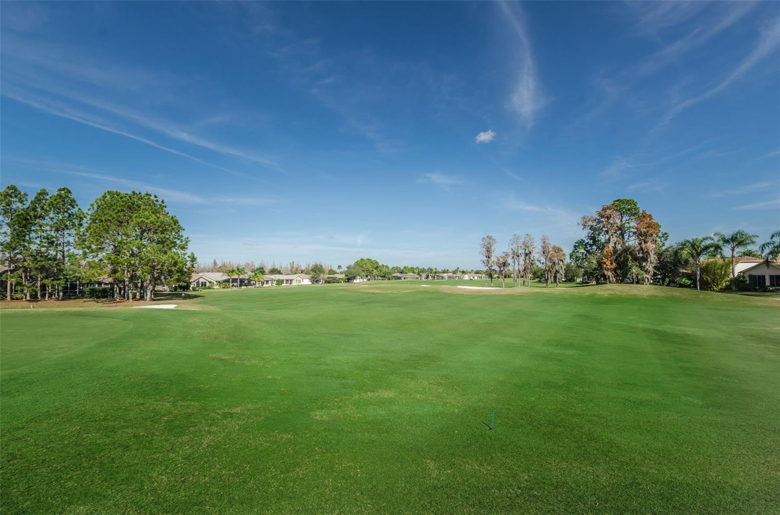 1553 ARLINGTON OAKS CT — photo 83