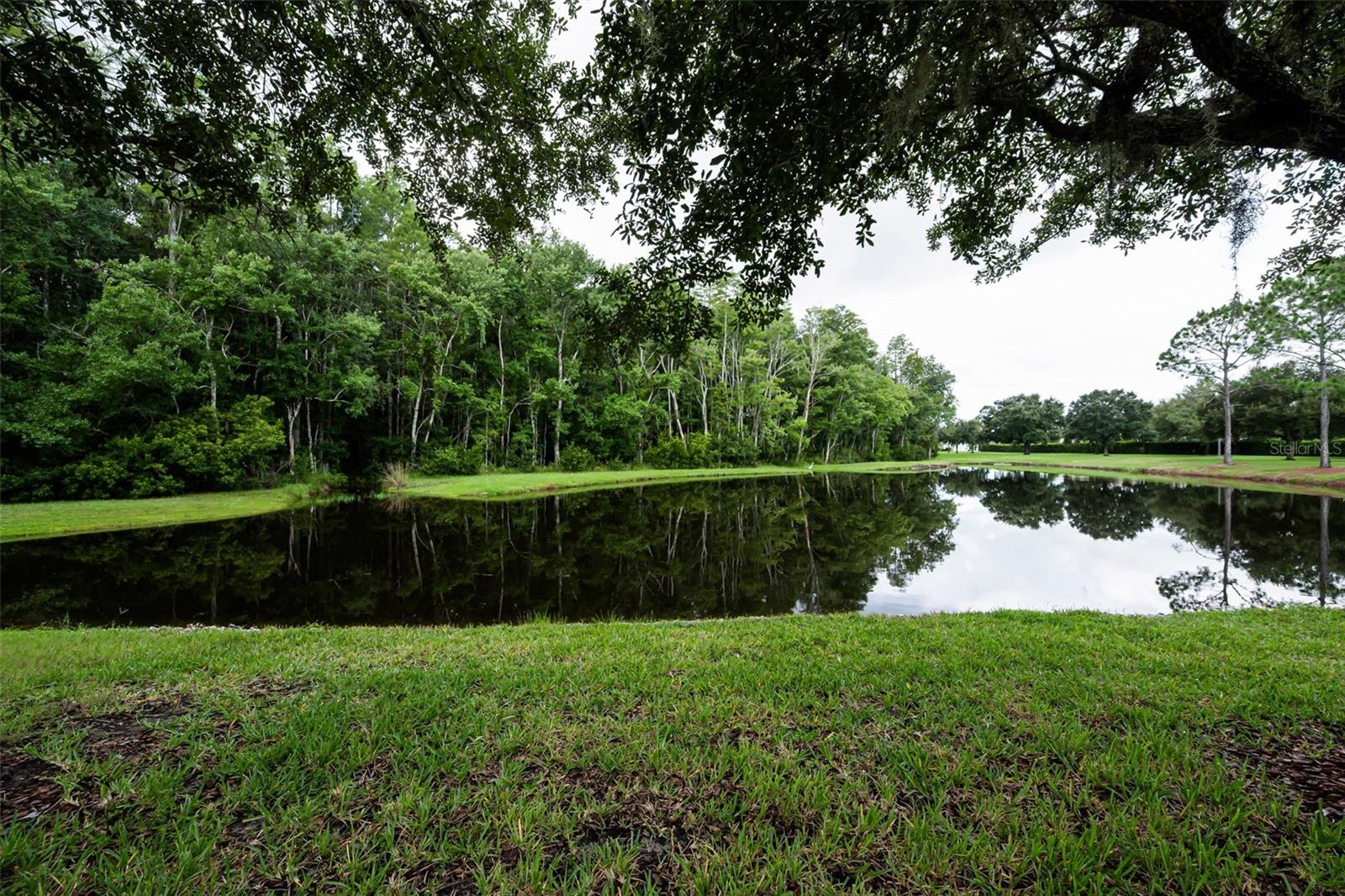 1553 ARLINGTON OAKS CT — photo 38