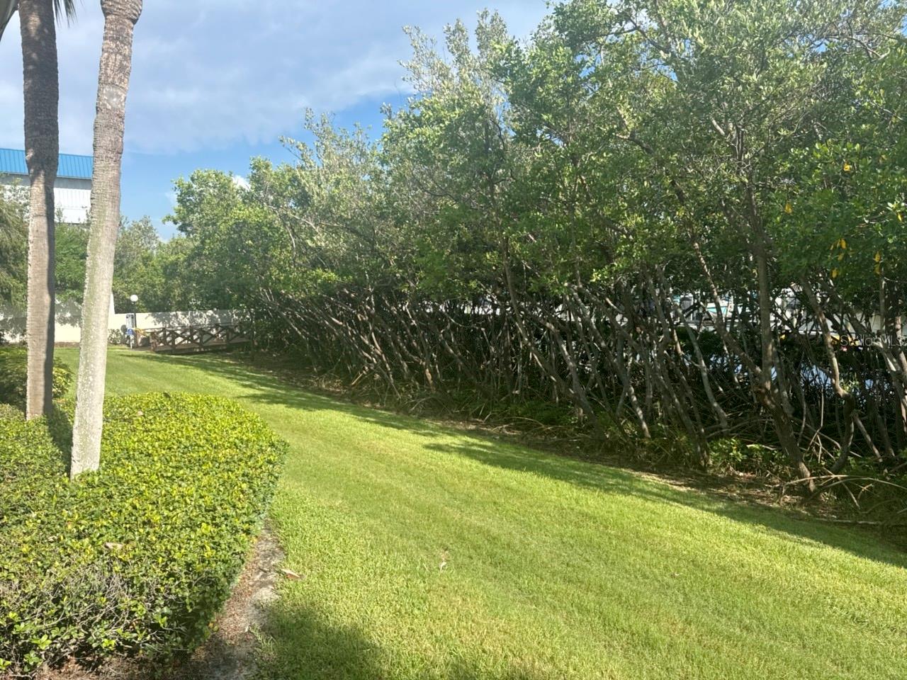 1312 PASADENA AVE S #15 — photo 5
