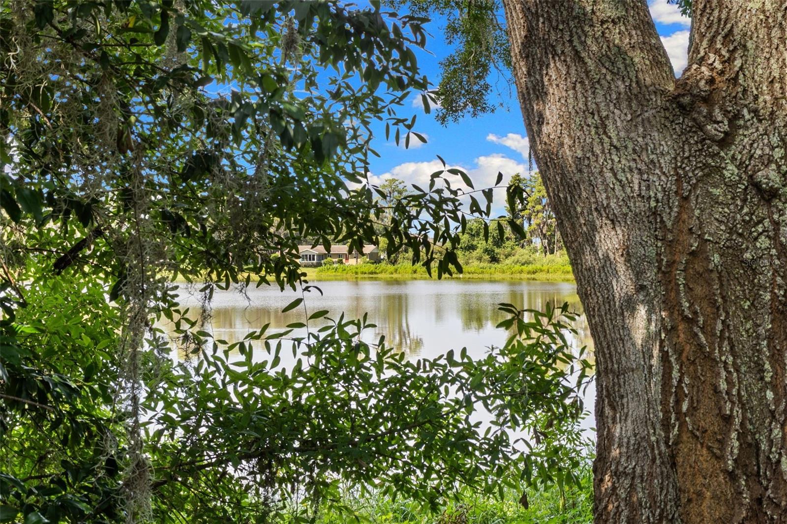 18117 BOY SCOUT RD — photo 19
