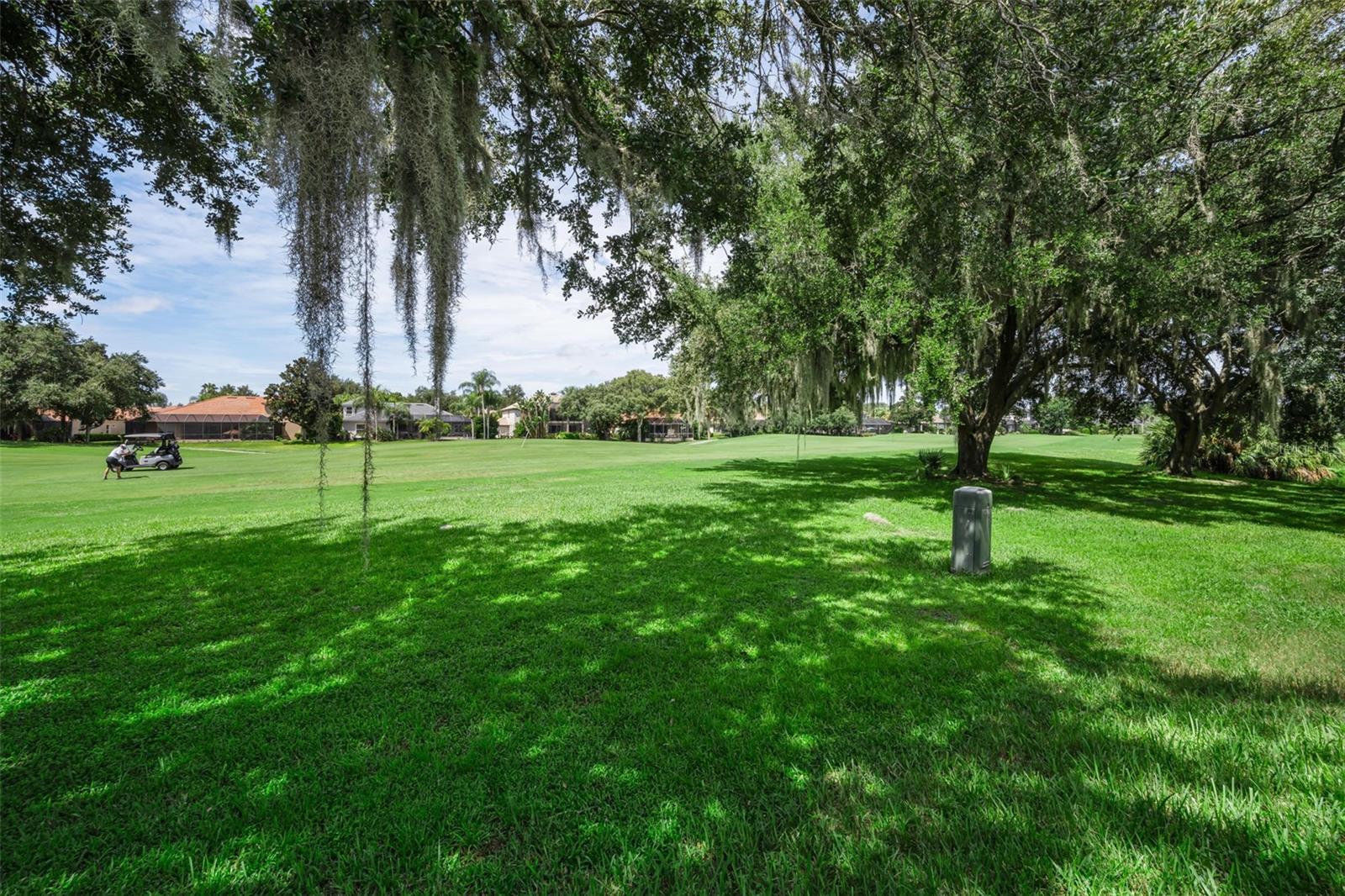 1453 EL PARDO DR — photo 69