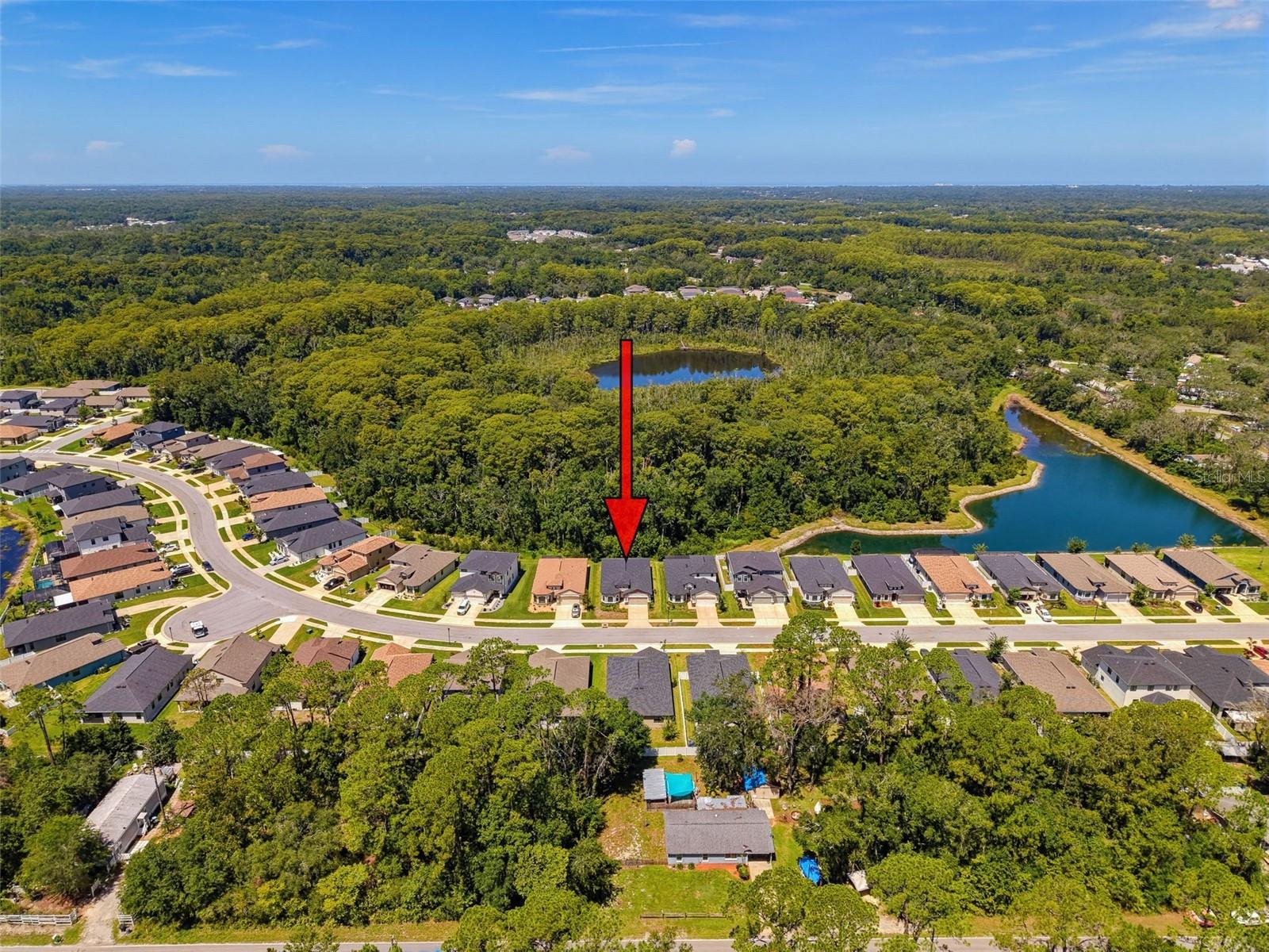 11515 WEAVER HOLLOW RD — photo 16