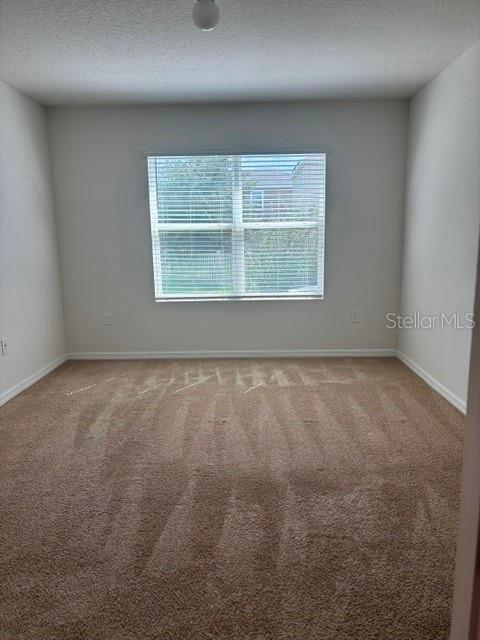 32696 PEZ LANDING LN — photo 5