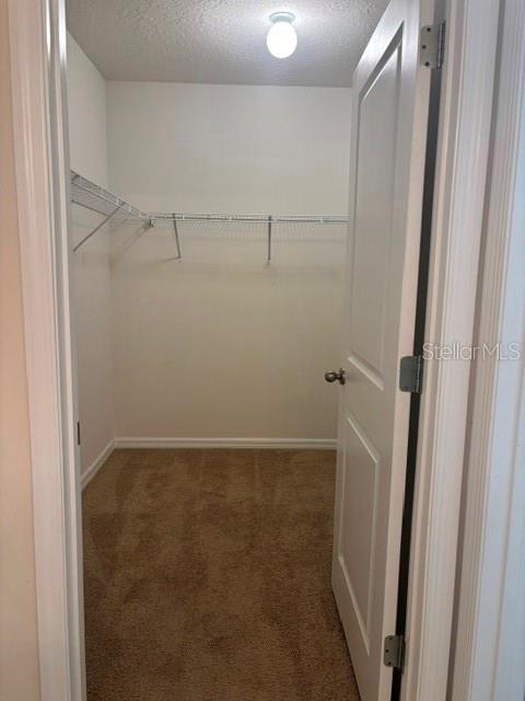 32696 PEZ LANDING LN — photo 37