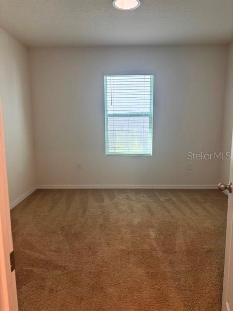 32696 PEZ LANDING LN — photo 18