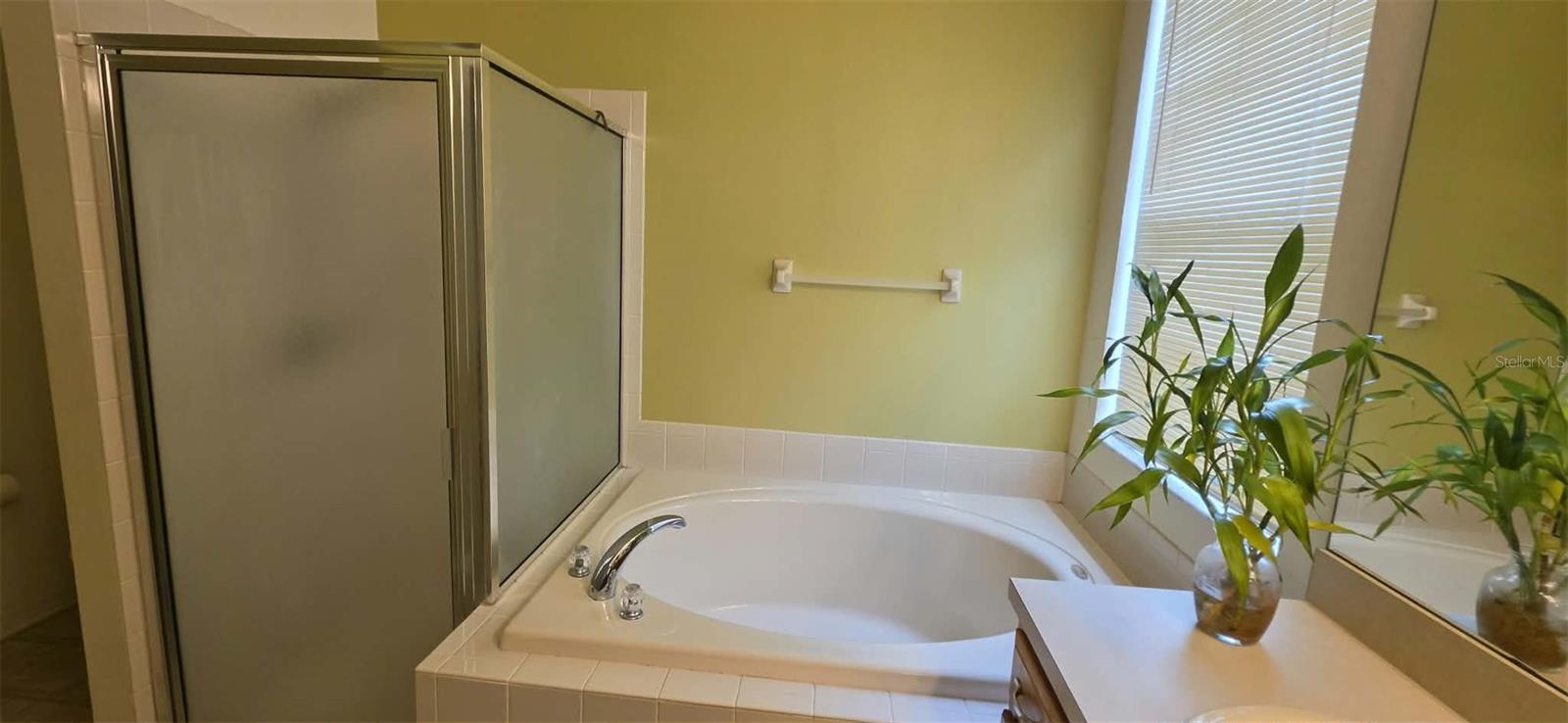 3233 DOWNAN POINT DR — photo 21