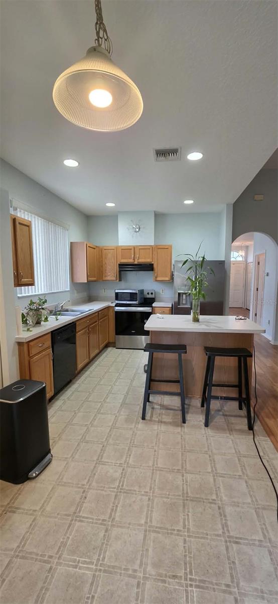 3233 DOWNAN POINT DR — photo 10