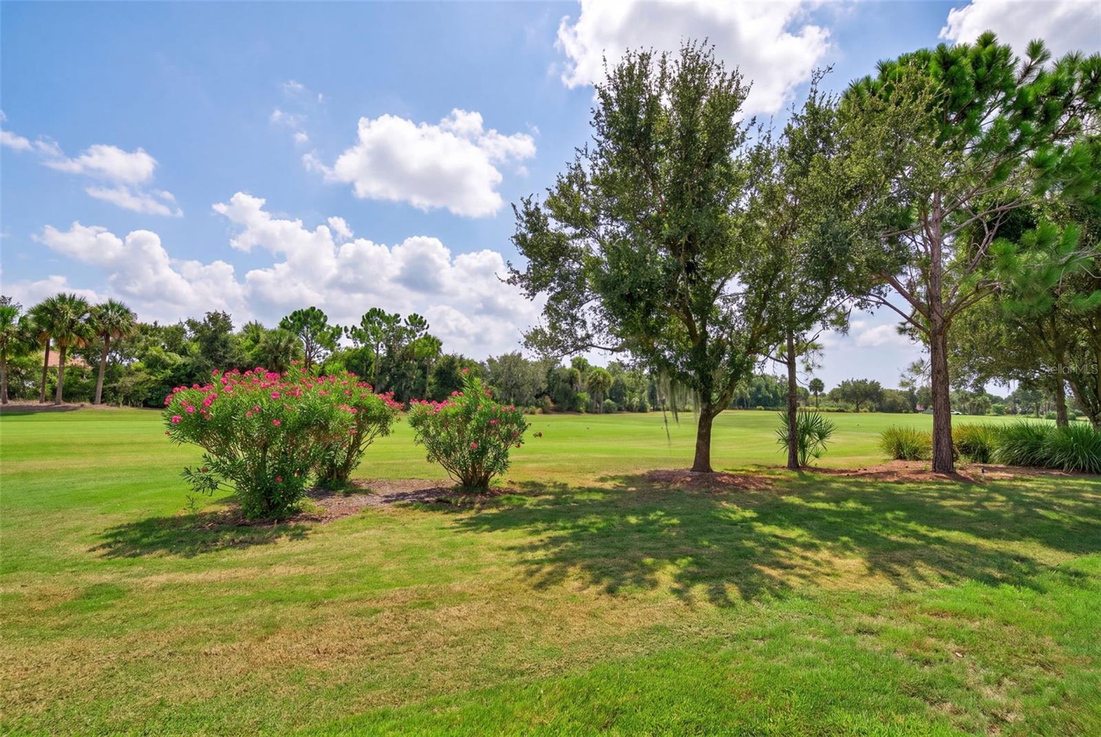 12758 SORRENTO WAY — photo 24
