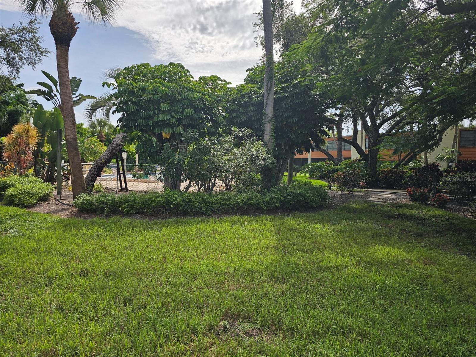 153 WILD PALM DR #1610 — photo 32