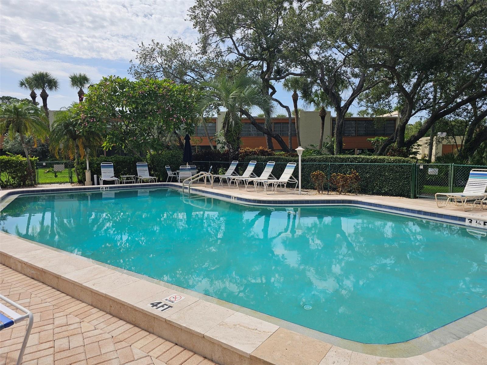 153 WILD PALM DR #1610 — photo 35