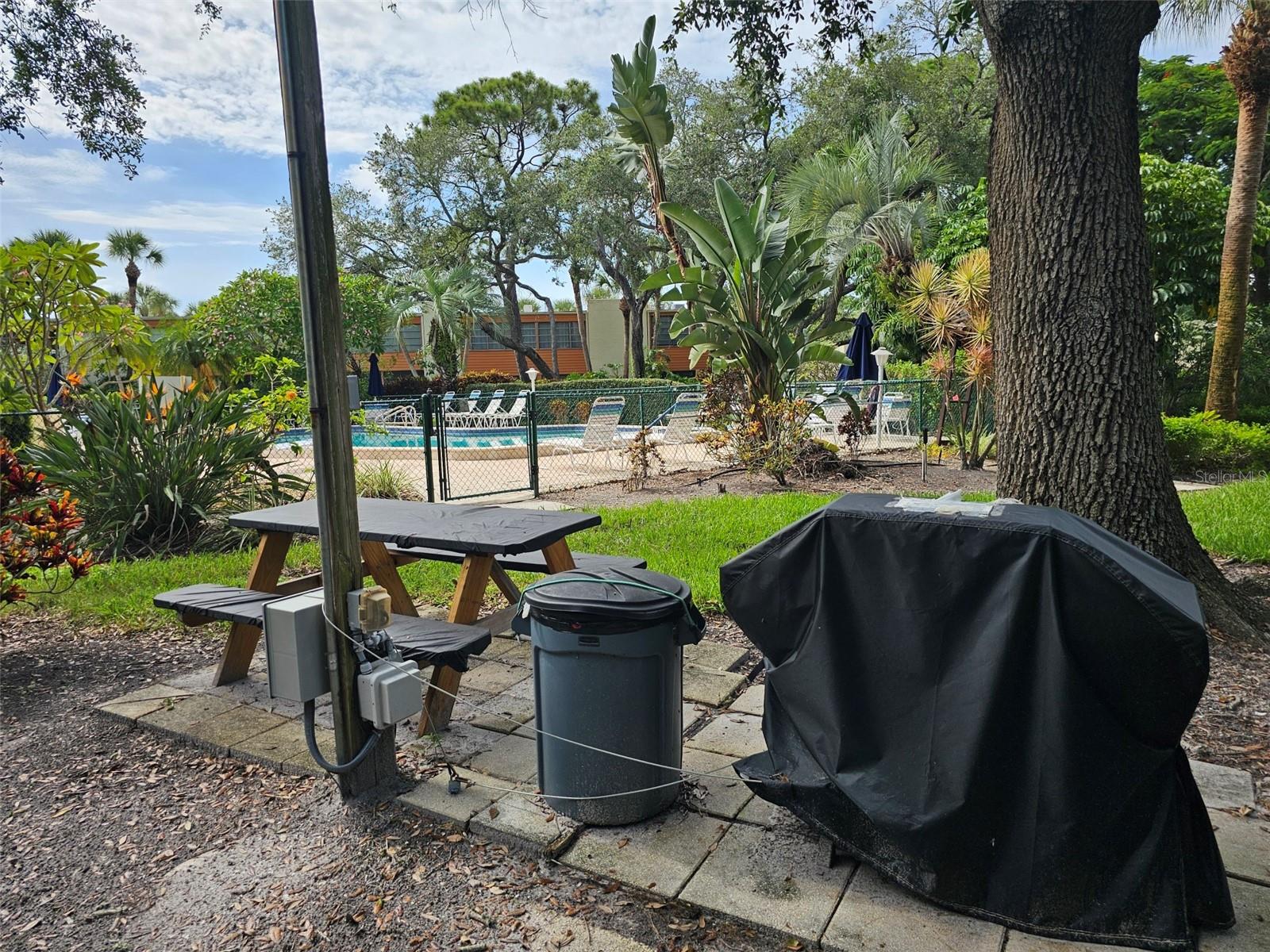 153 WILD PALM DR #1610 — photo 38
