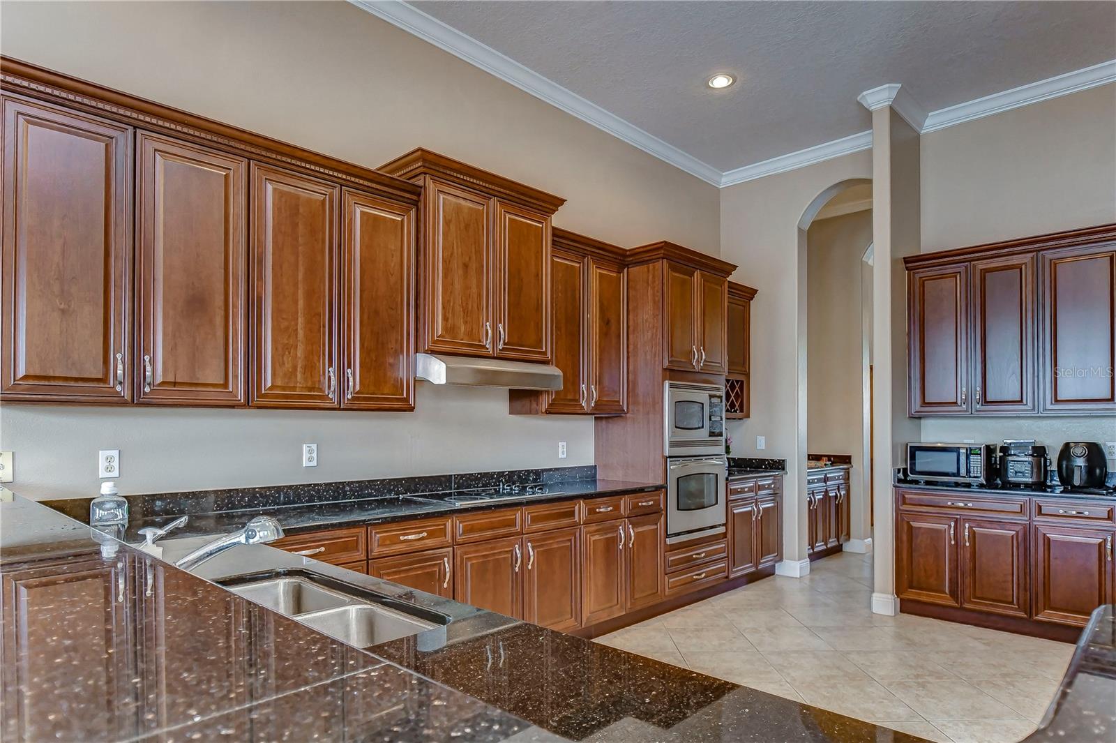 10602 CAYMAN ISLE CT — photo 14