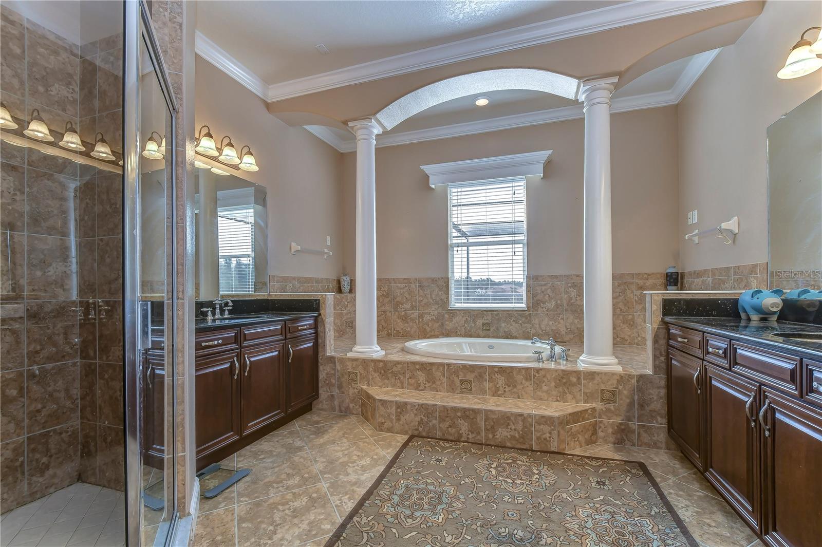 10602 CAYMAN ISLE CT — photo 33