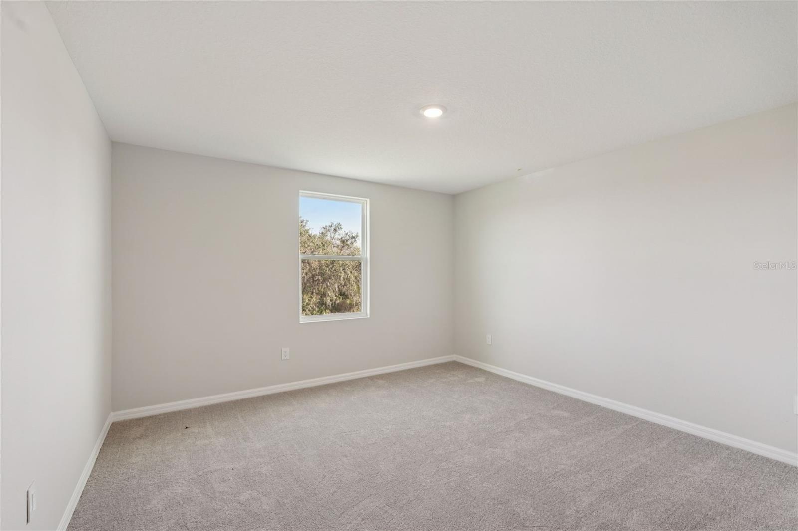 2909 CITRUS GROVE STREET — photo 21