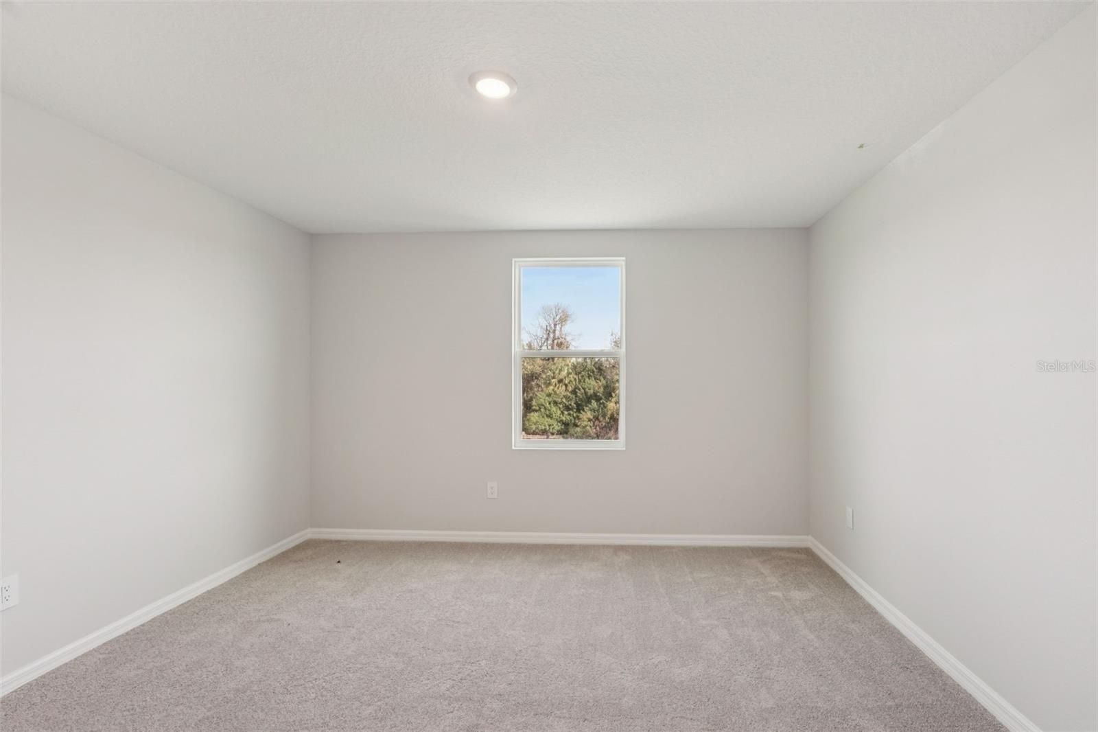 2909 CITRUS GROVE STREET — photo 22