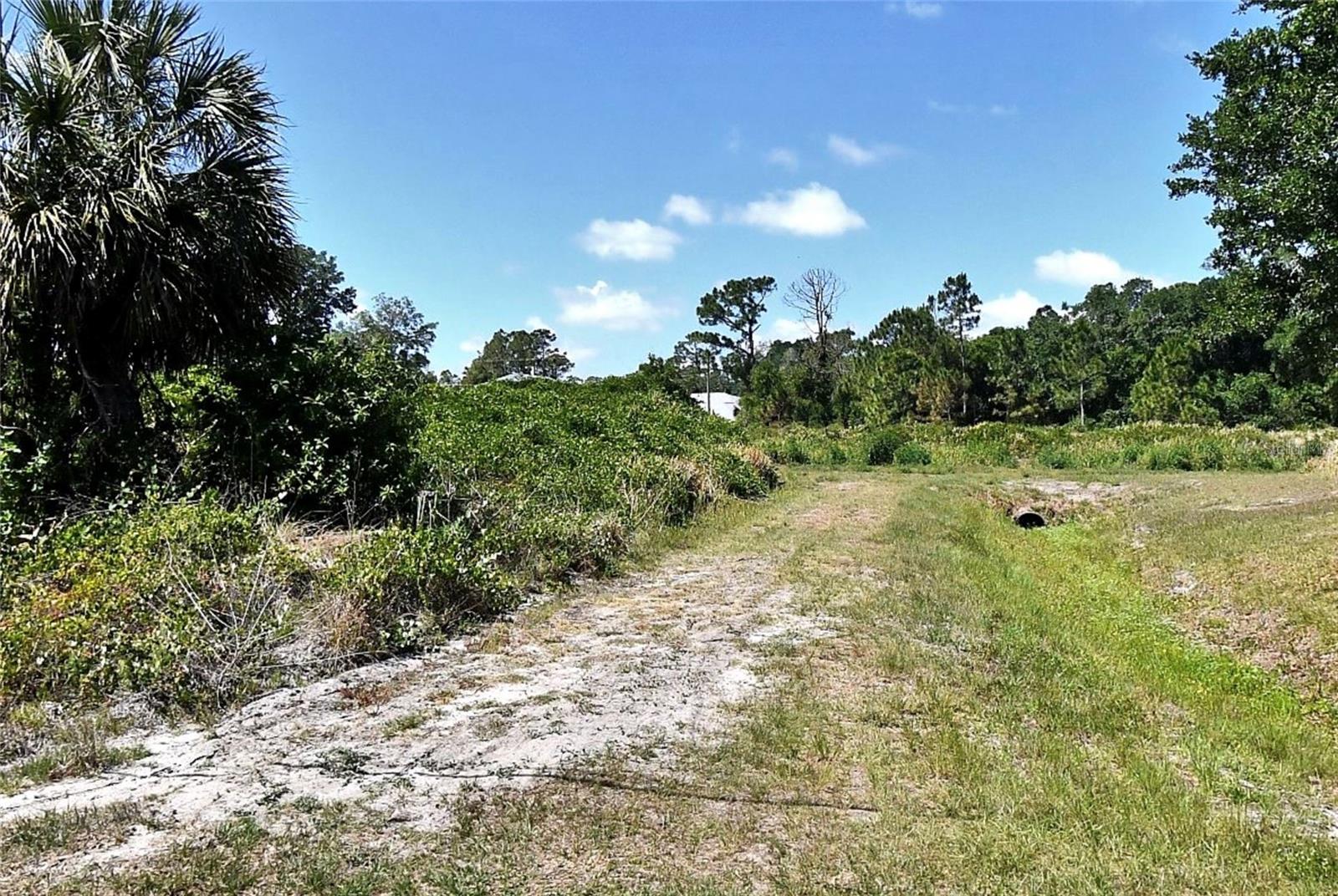 CONSTITUTION DR — photo 2