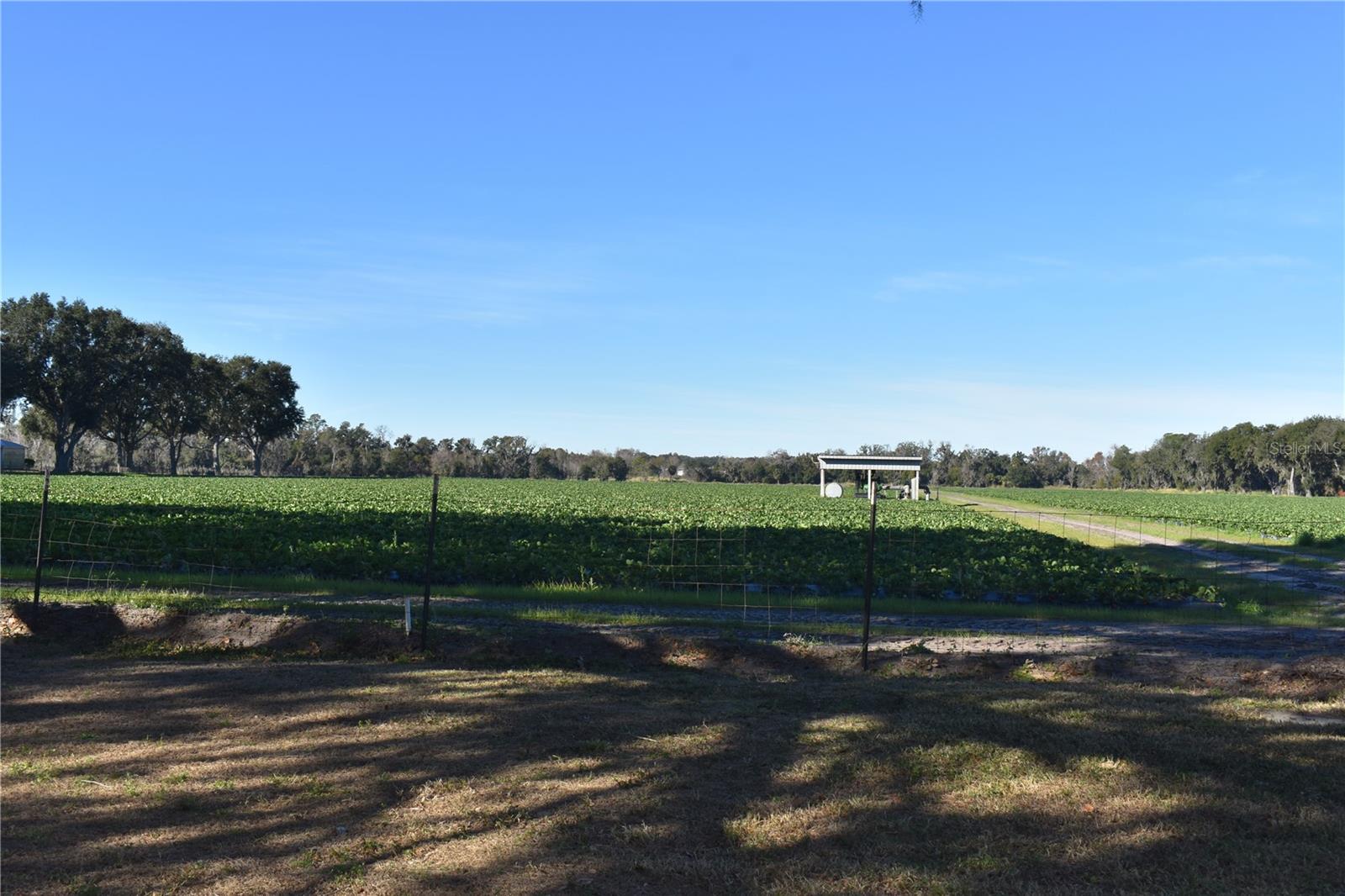 5319 W TRAPNELL RD — photo 36