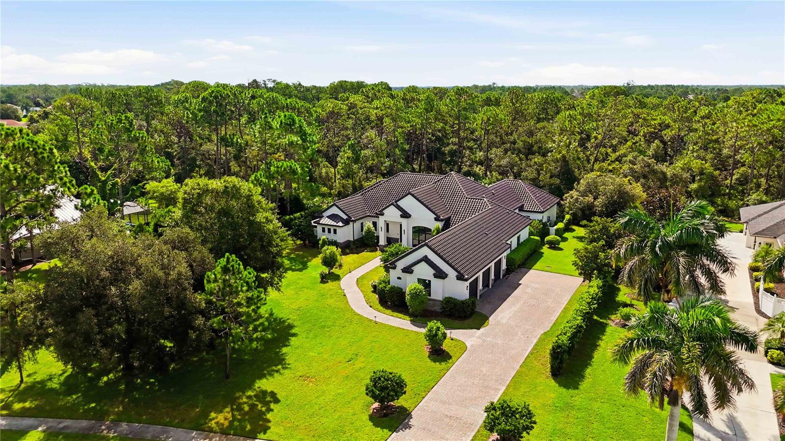 21724 DEER POINTE XING — photo 46