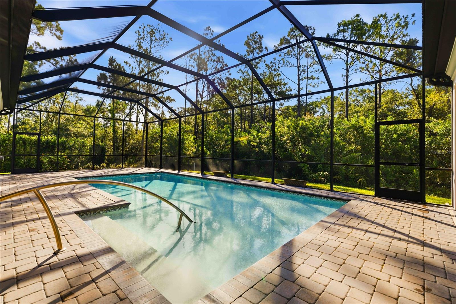 21724 DEER POINTE XING — photo 43