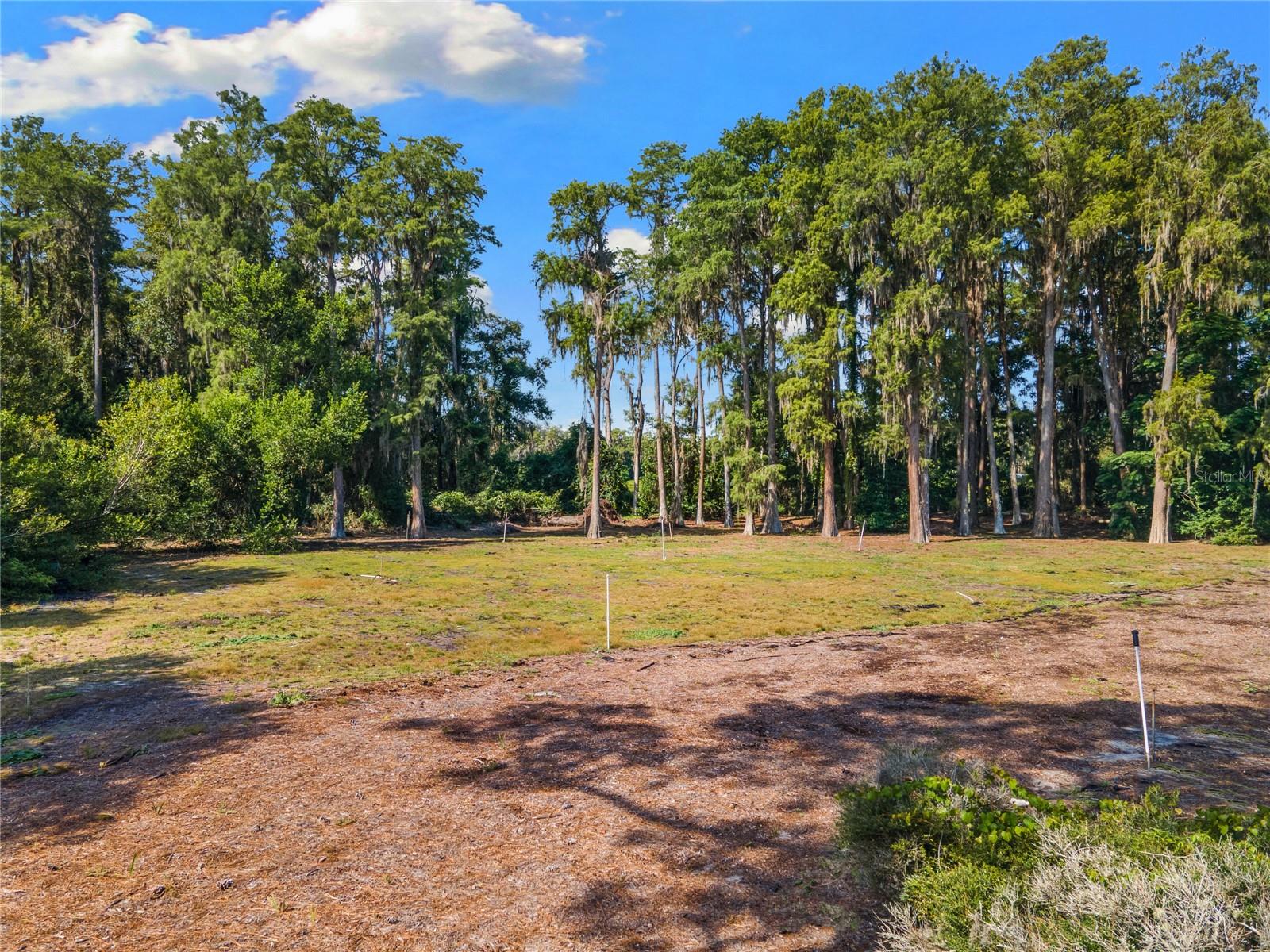 18150 BURRELL RD — photo 18