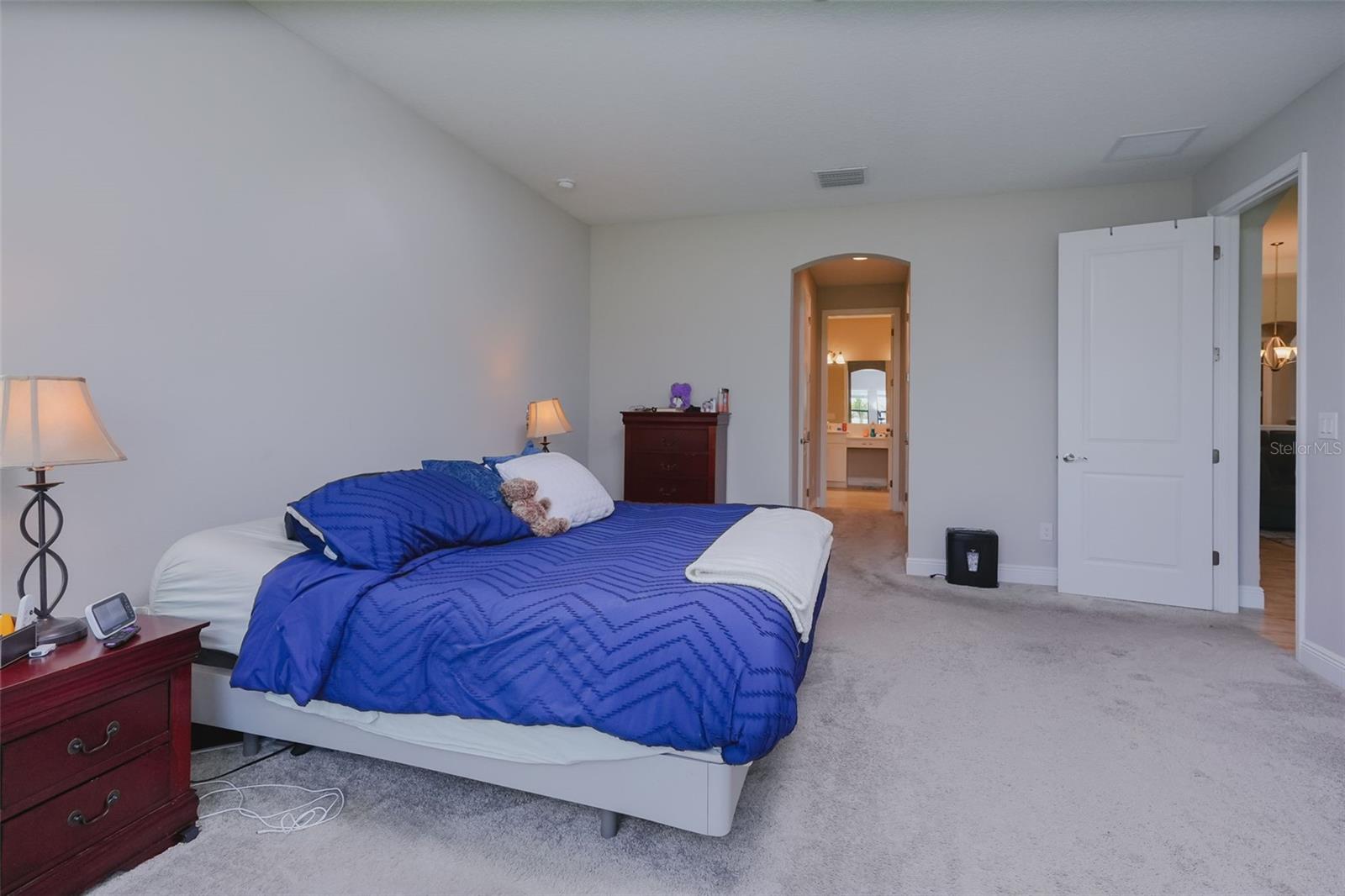 12648 BERGSTROM BAY DR — photo 17