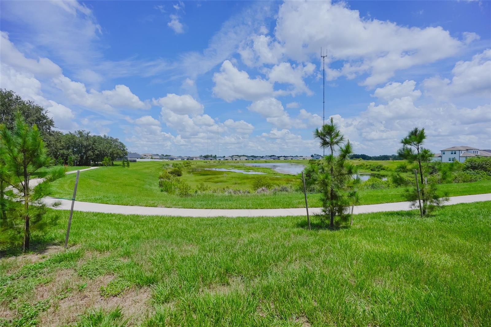 12648 BERGSTROM BAY DR — photo 40