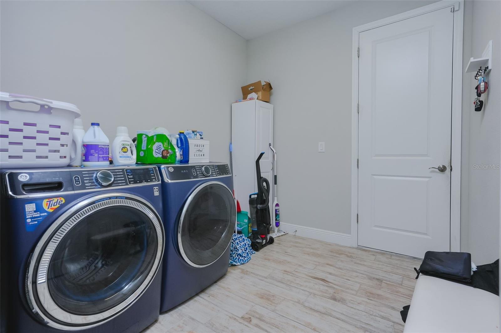 12648 BERGSTROM BAY DR — photo 33