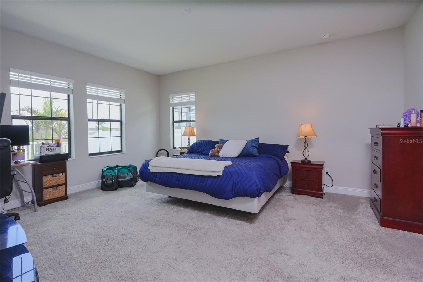 12648 BERGSTROM BAY DR — photo 16