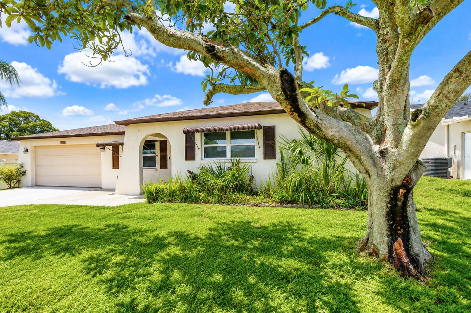 8811 MARTINIQUE LN — photo 5