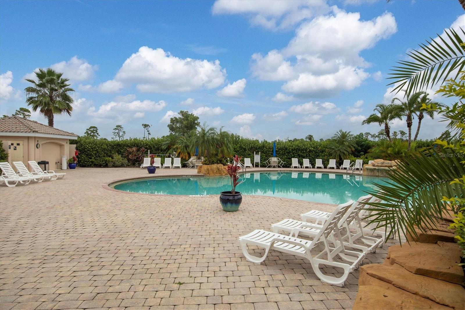 4301 WHISPERING OAKS DR — photo 57