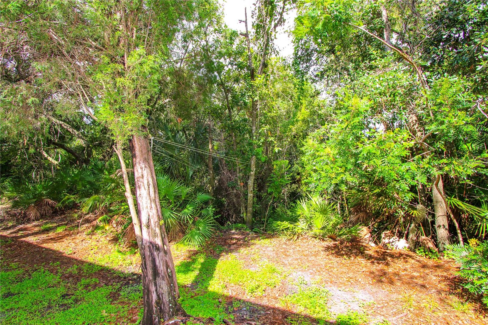 2722 CONCH HOLLOW DR — photo 25