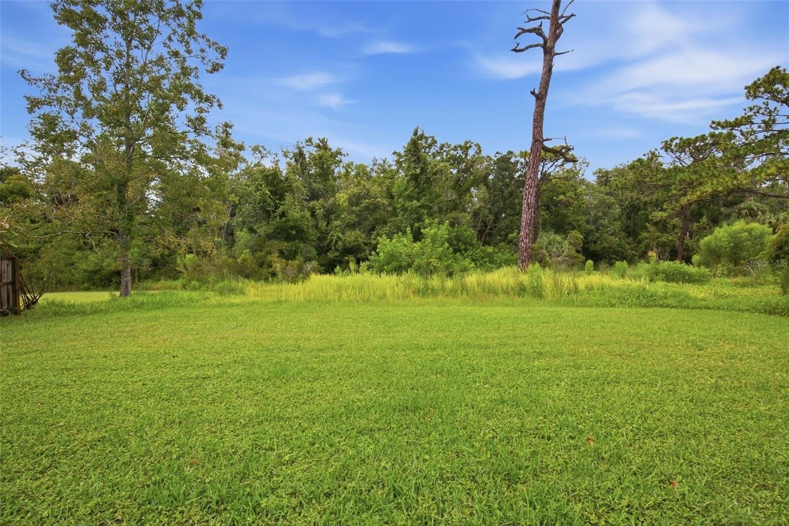 8531 HORIZON LN — photo 33