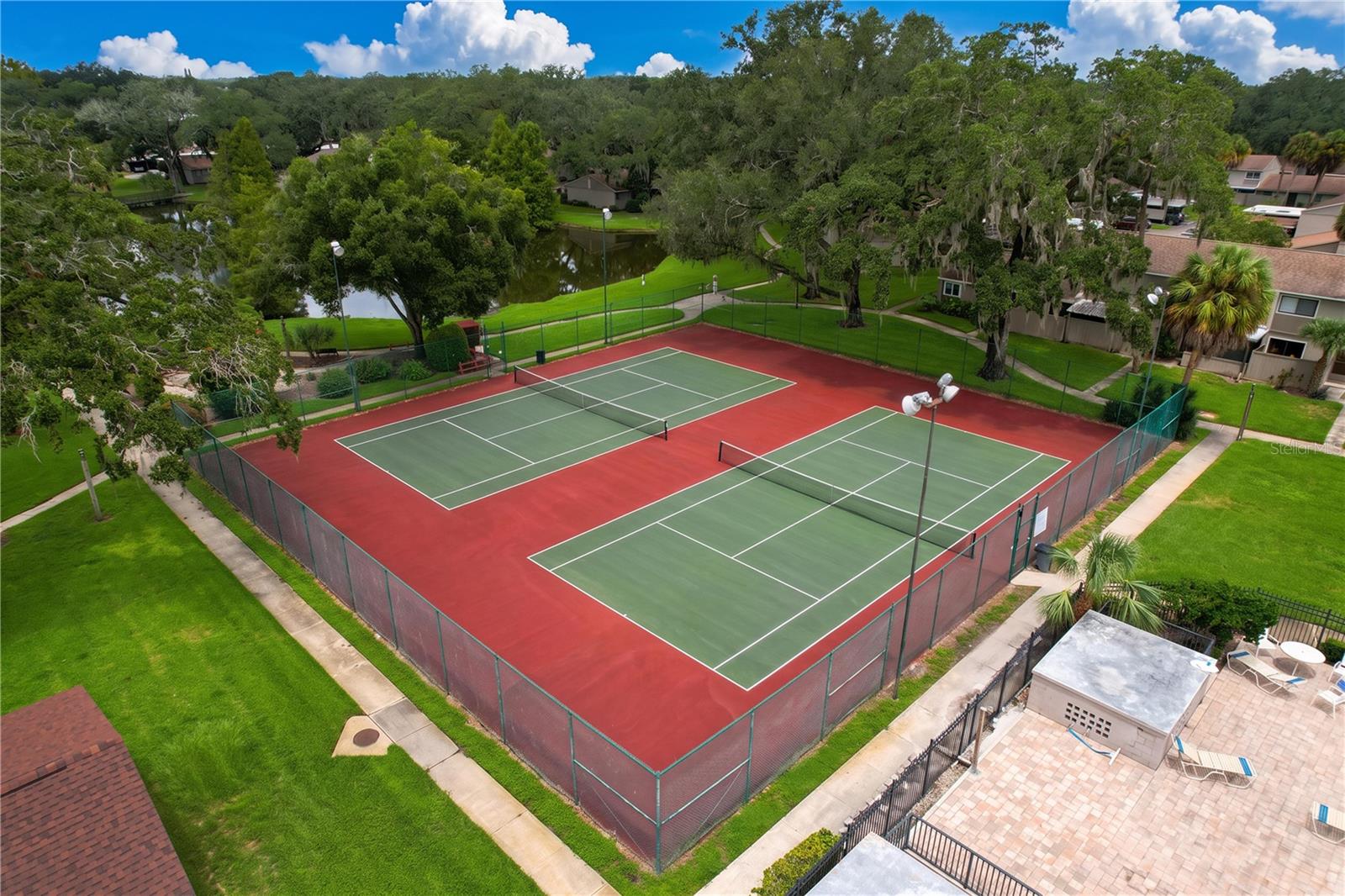 7907 SABAL DR — photo 5