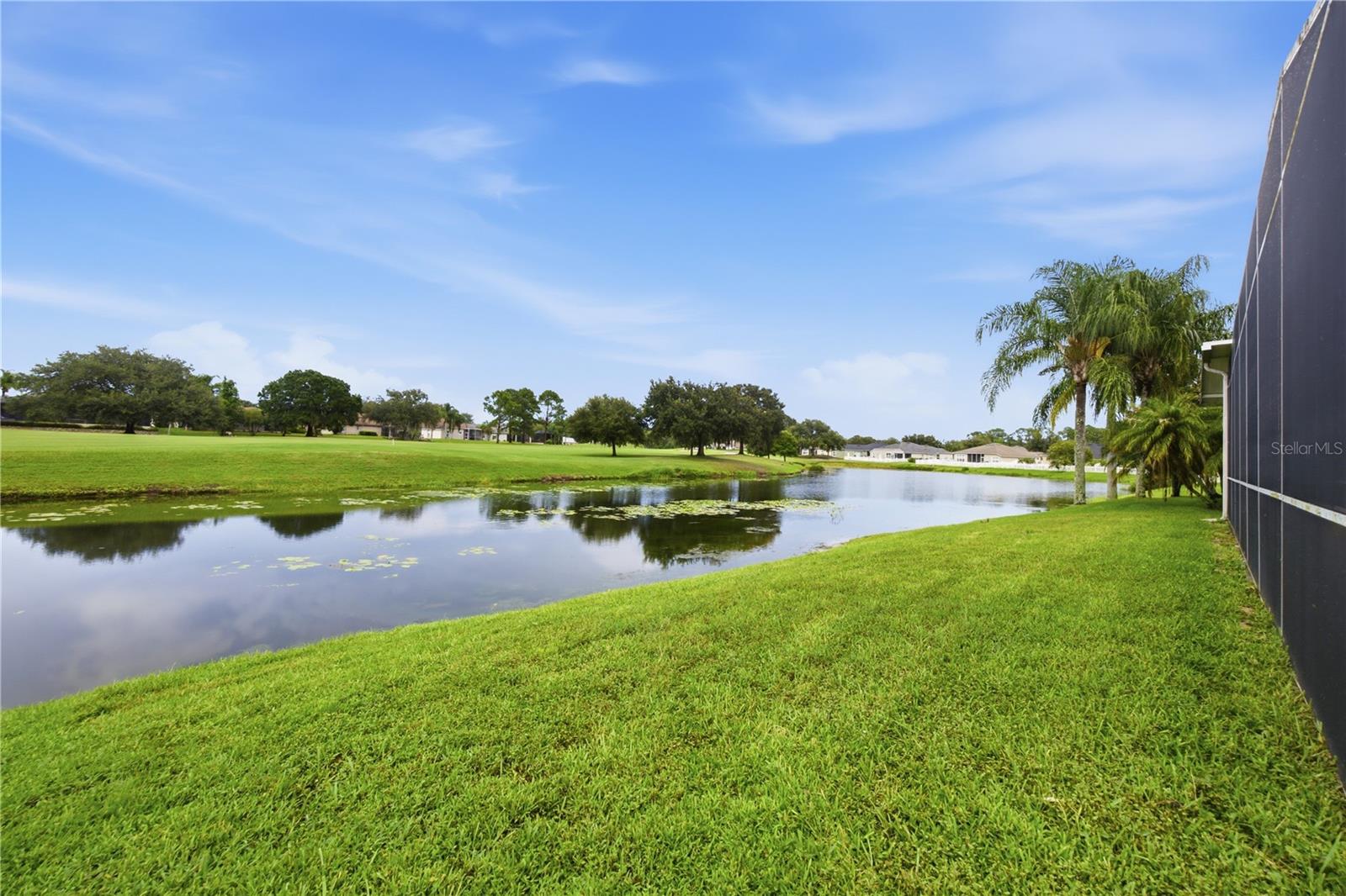 25843 RISEN STAR DR — photo 44