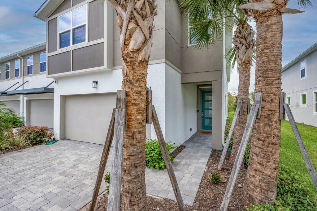 3463 TIMBER CROSSING AVE — photo 5