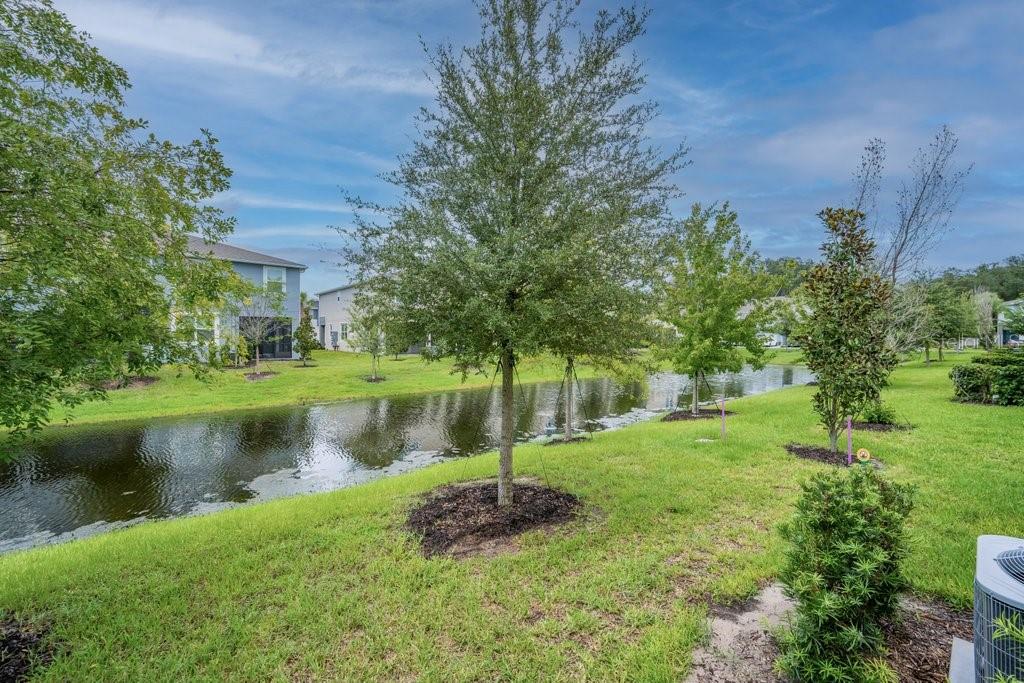 3463 TIMBER CROSSING AVE — photo 35