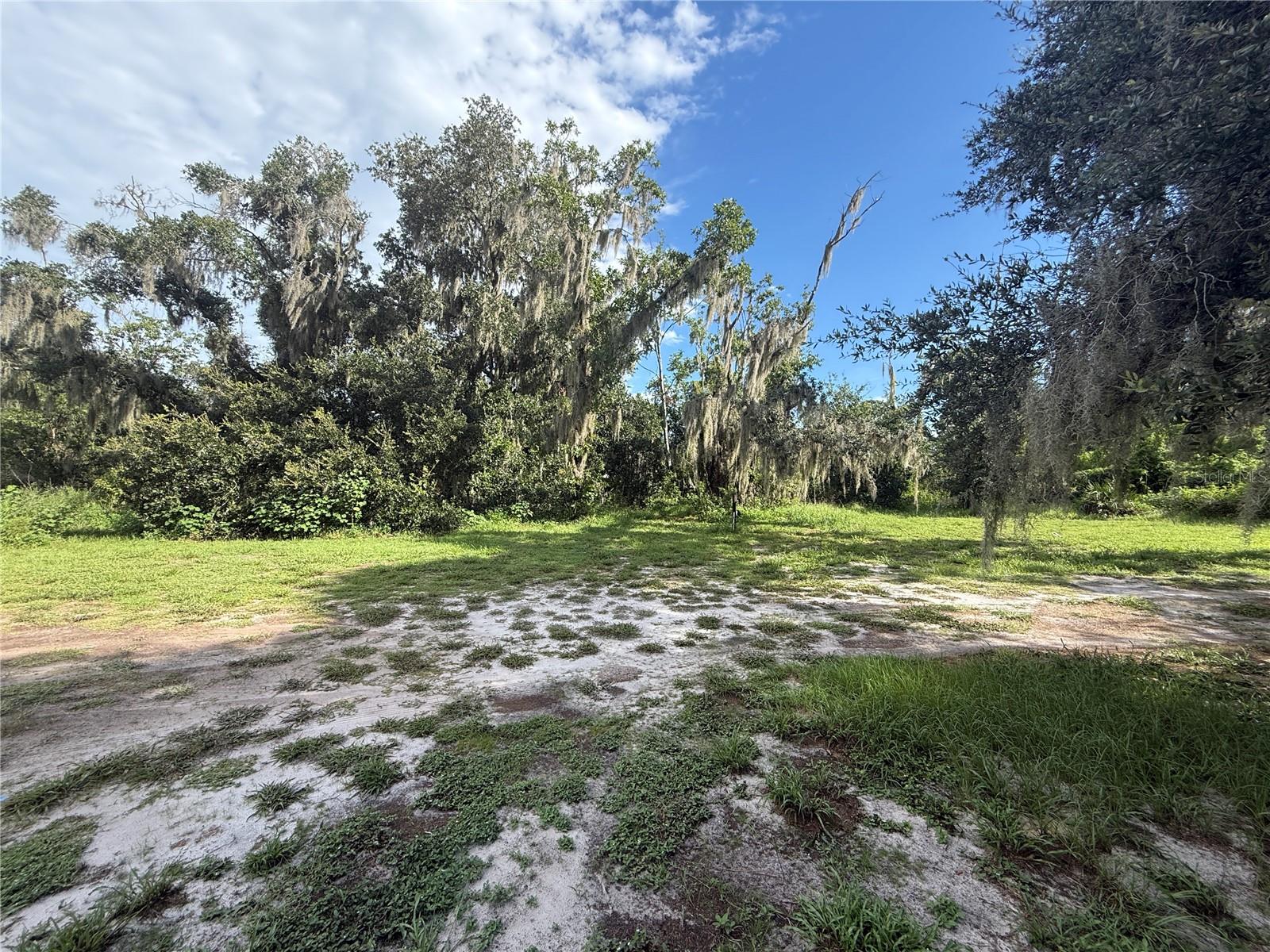 10305 REVELL RD — photo 45