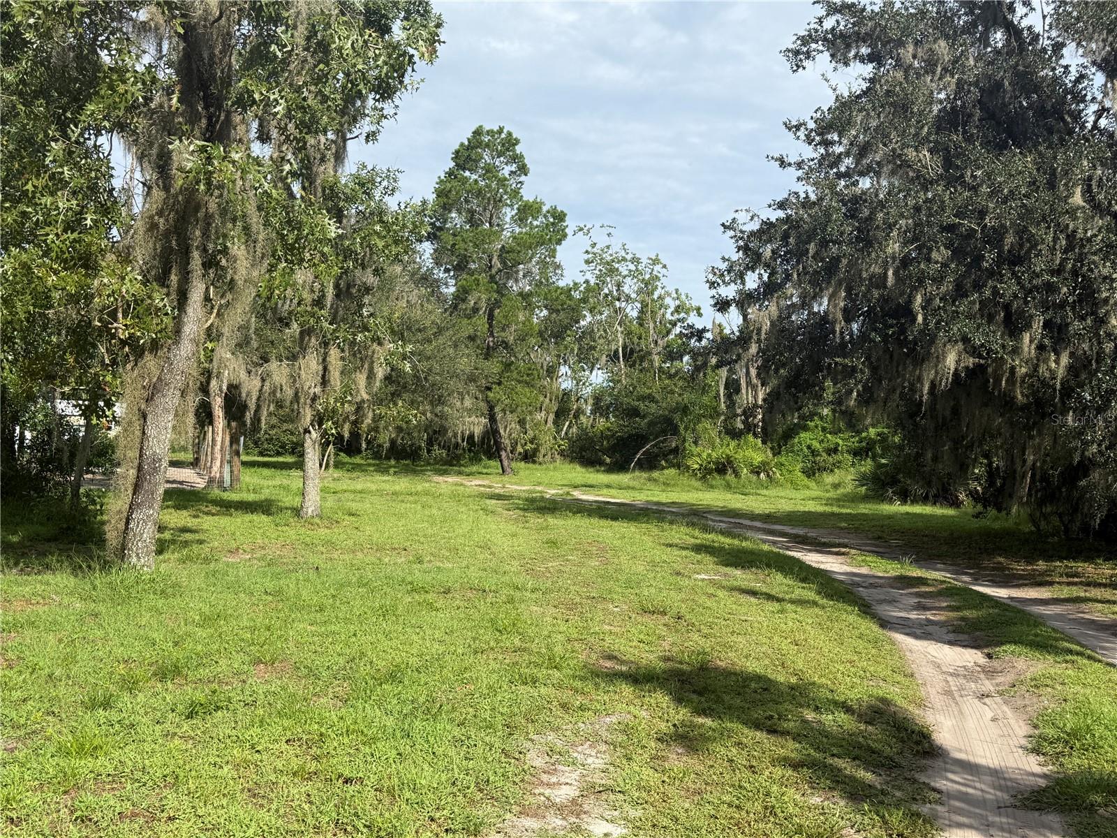 10305 REVELL RD — photo 36