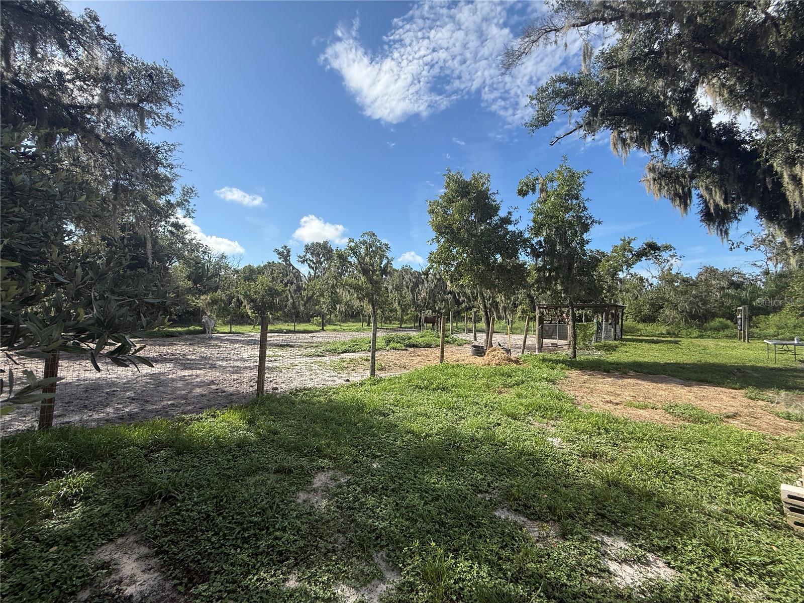 10305 REVELL RD — photo 46