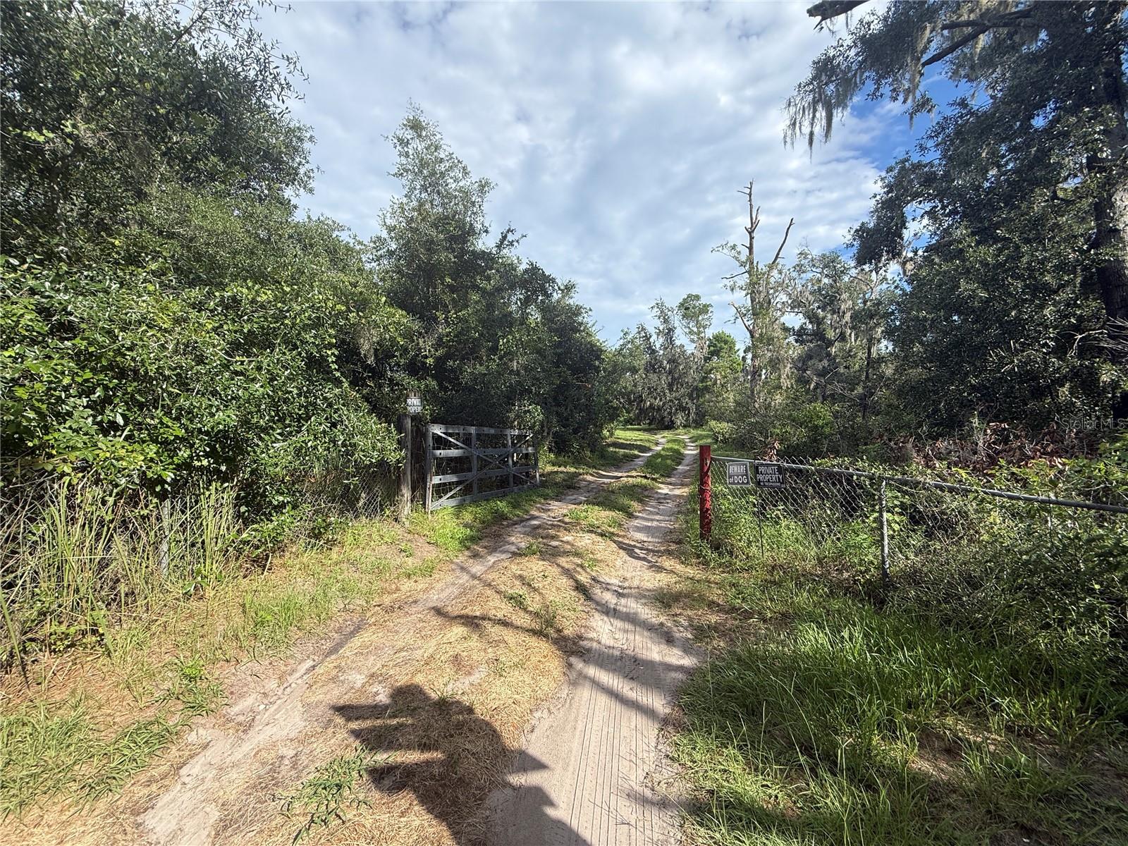 10305 REVELL RD — photo 35