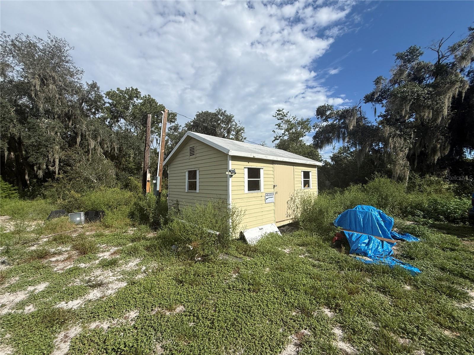 10305 REVELL RD — photo 42