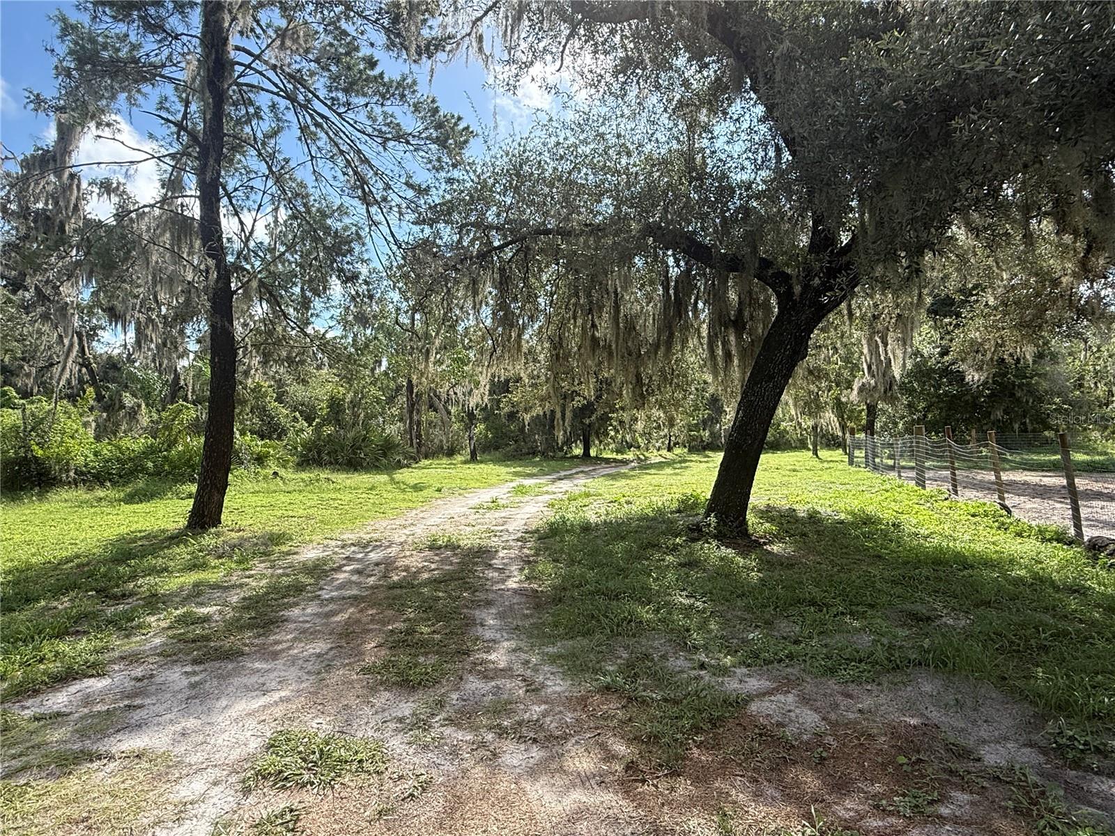 10305 REVELL RD — photo 31